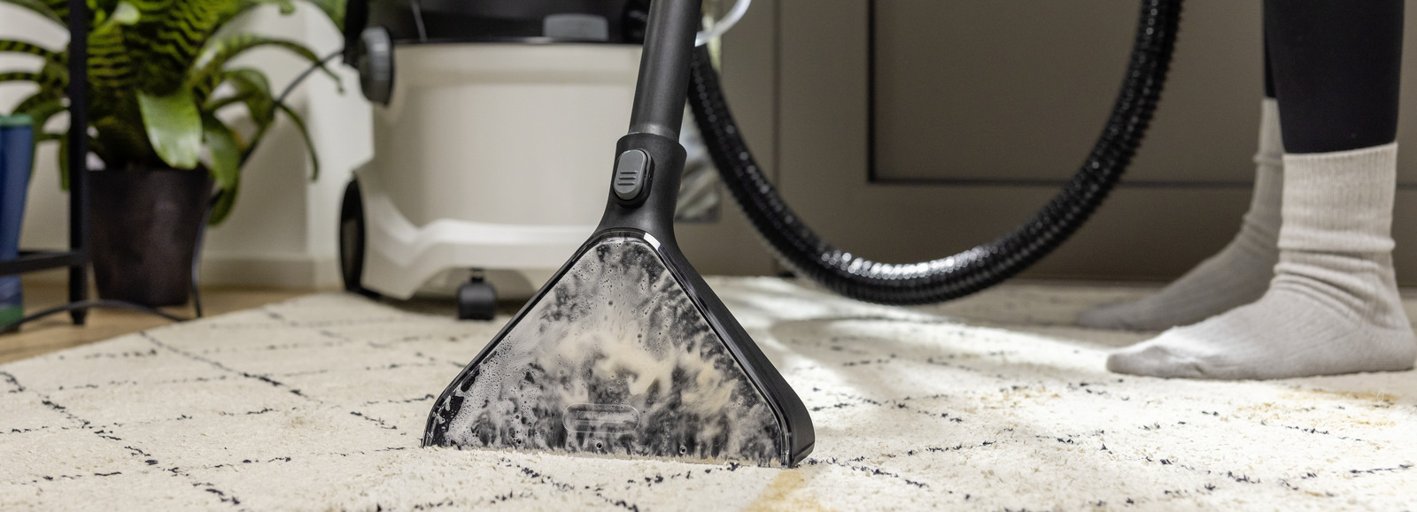 czyszczenie dywanów