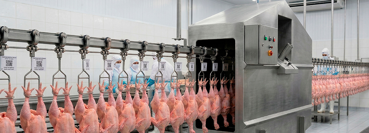 Uma linha de processamento de aves demonstra a aplicação da tecnologia HDC Kärcher: bicos de alta pressão estão jateando água em patas de frango penduradas. O sistema atua de forma contínua e controlada, sem interromper o fluxo da produção. No fundo, funcionários com vestimentas higiênicas monitoram o equipamento de aço inoxidável, destacando o ambiente industrial e tecnológico.