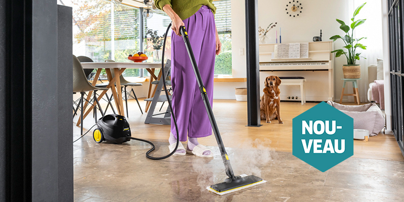 Nettoyeurs vapeur & aspirateur vapeur