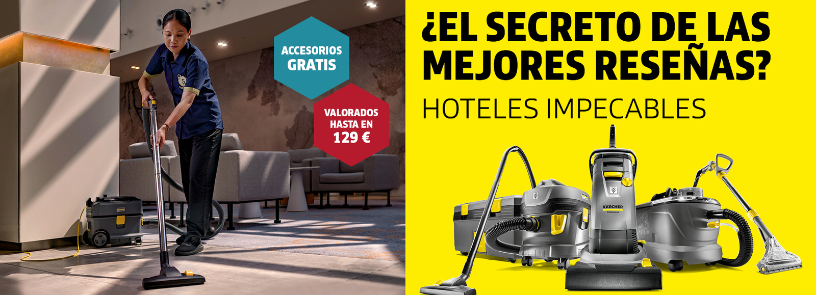 professional Hoteles 