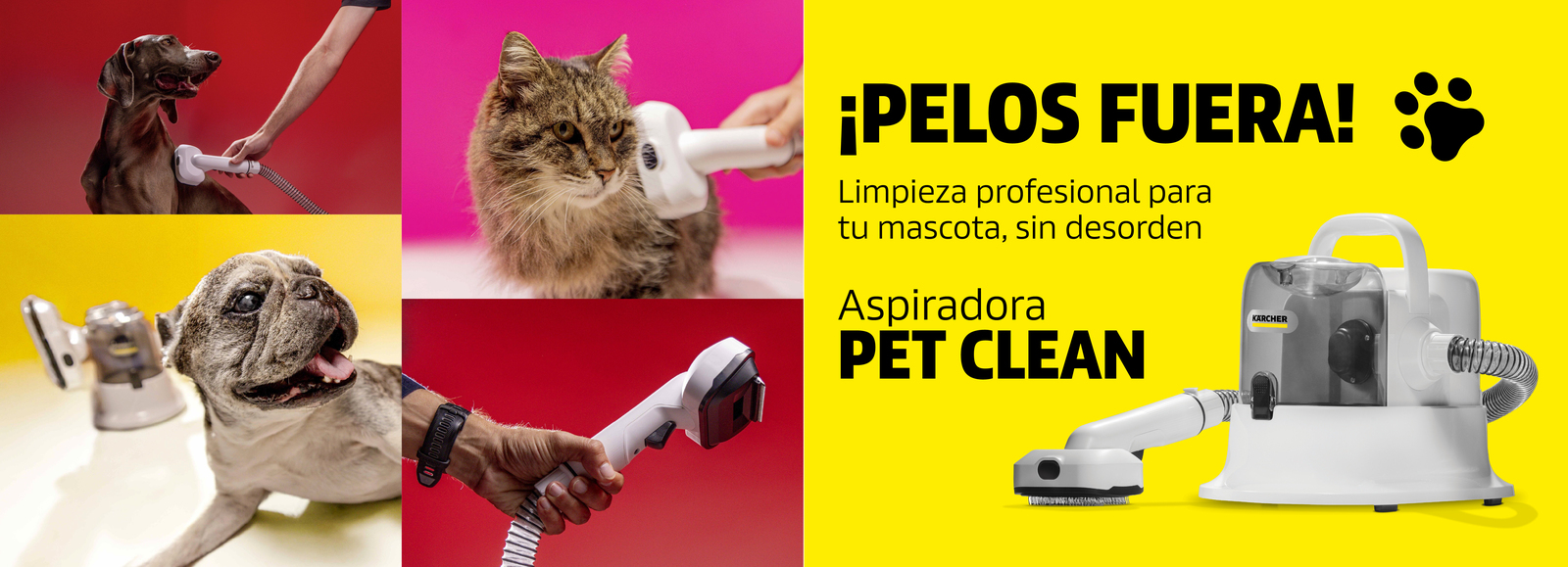 Pet Clean