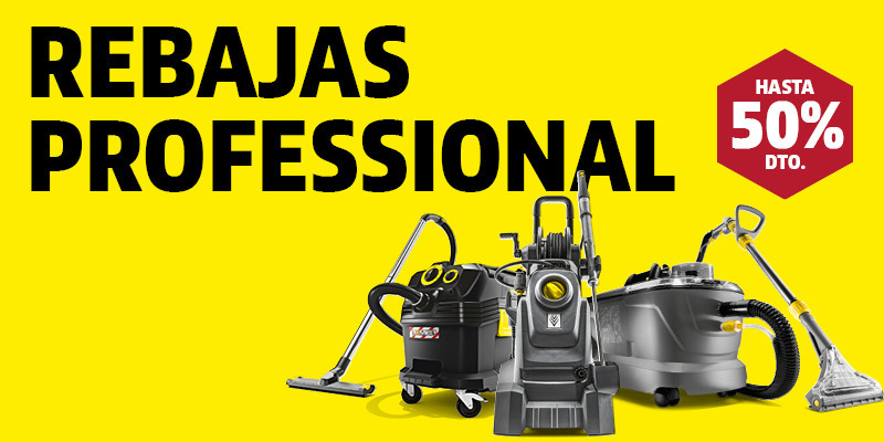 rebajas profesional