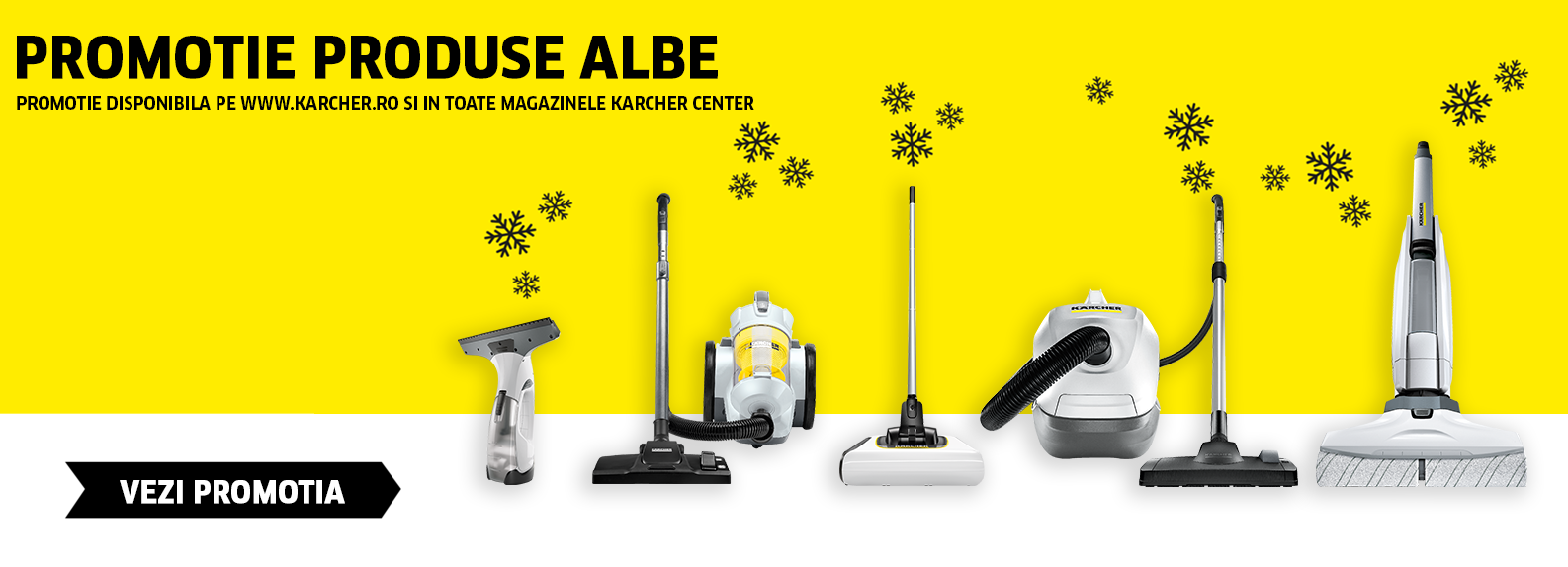 Promotii Karcher Romania