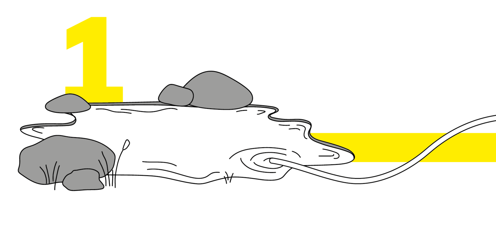 Kreislauf_1