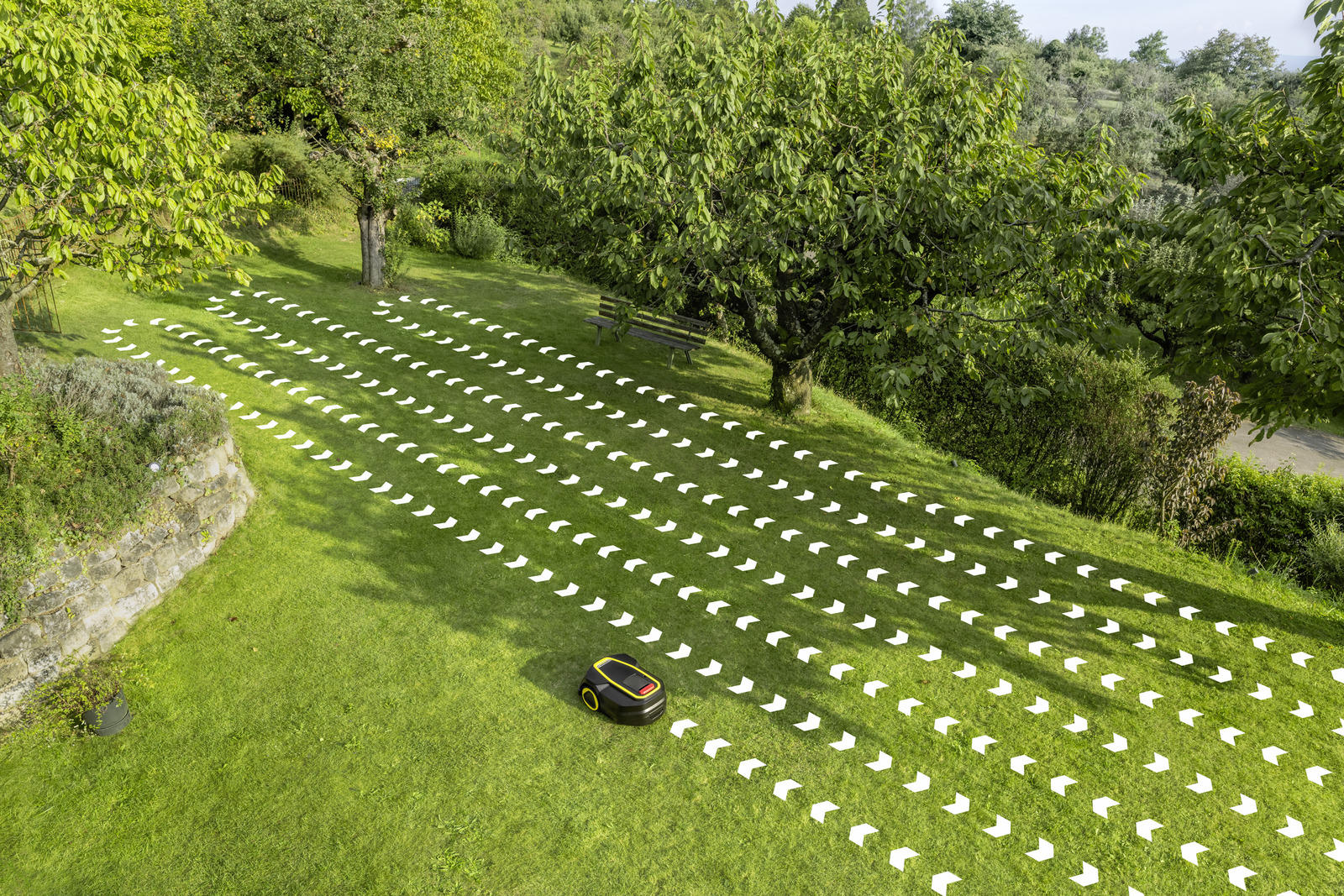 RCX 4 mowing overlay
