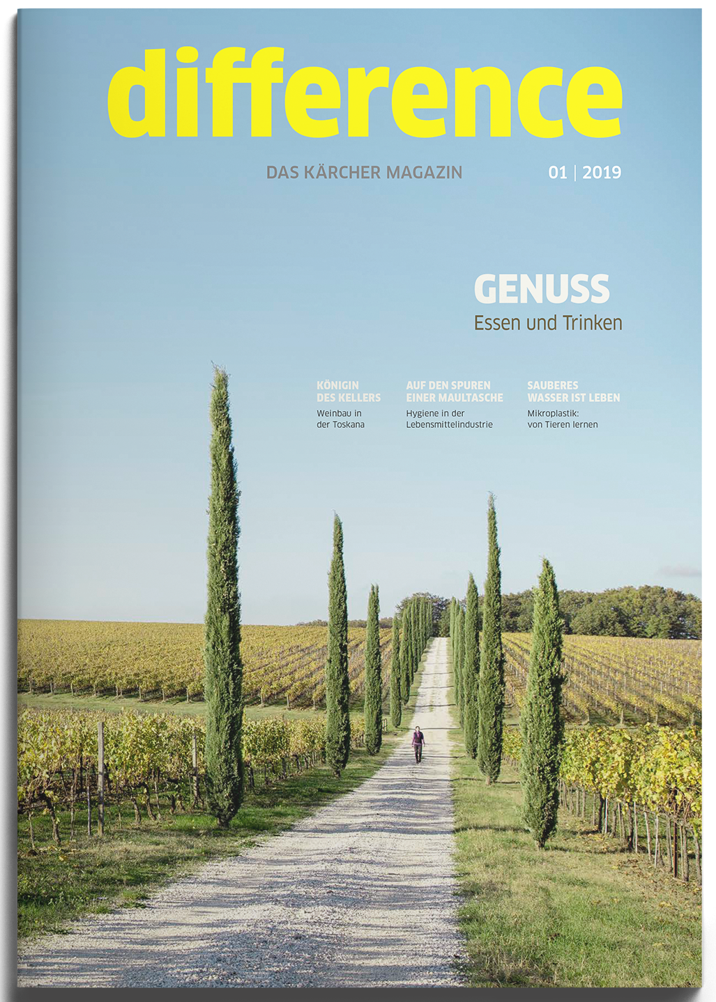 difference 01/2019 difference 01/2019