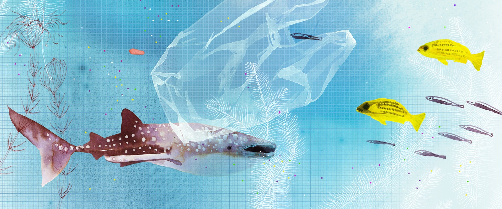 Header_microplastics Header_microplastics