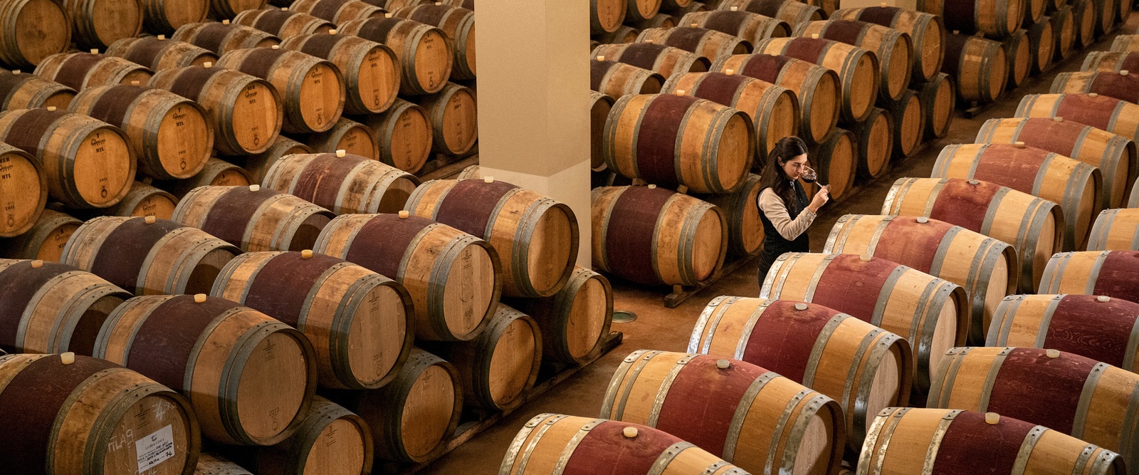 header_la_braccesca header_la_braccesca