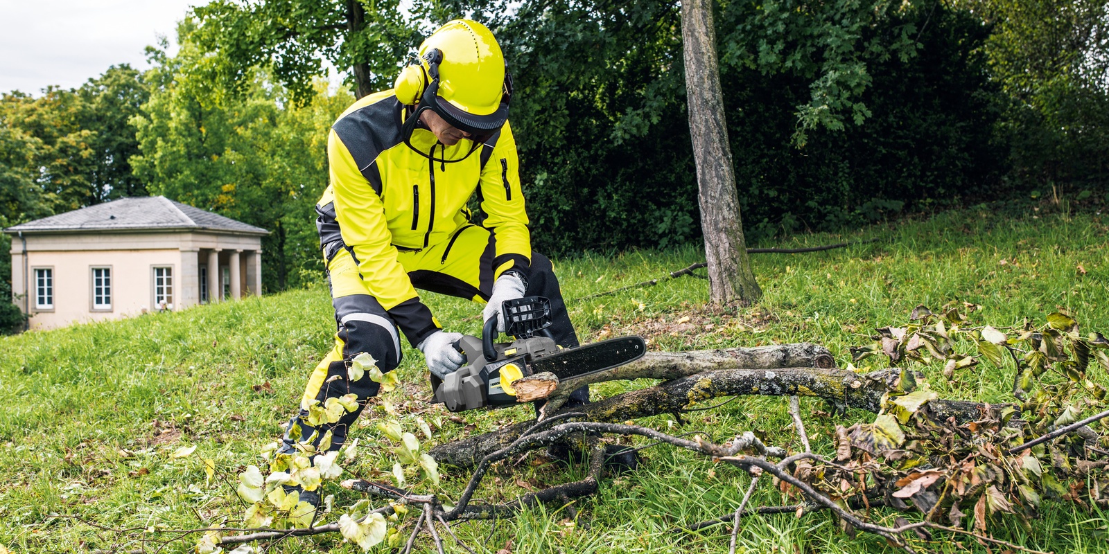 Couper les branches d'arbre avec une tronçonneuse sans fil Couper les branches d'arbre avec une tronçonneuse sans fil