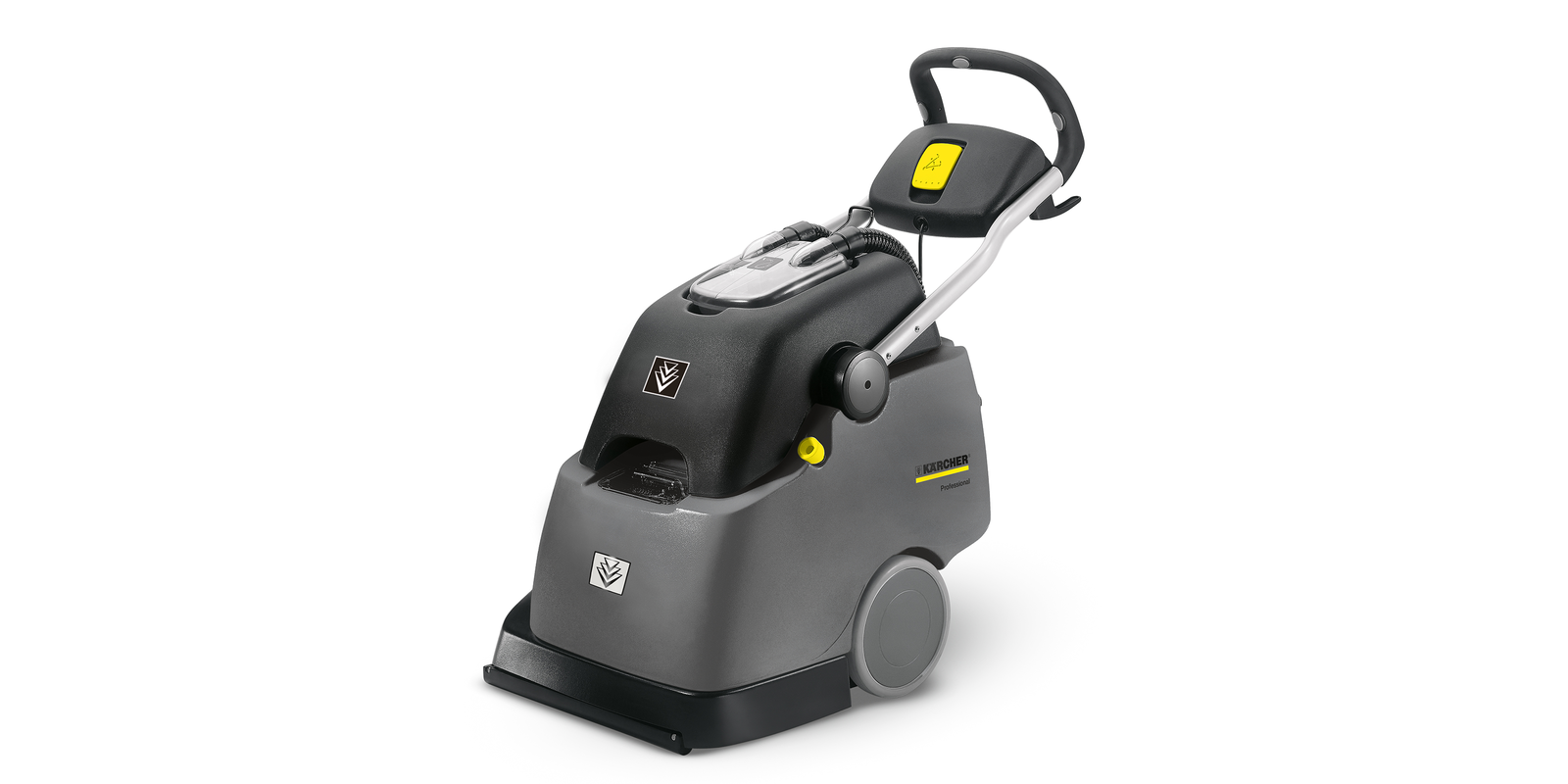 Teppichreiniger Teppichreiniger