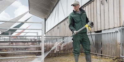 Vorsorge durch Reinigung Afrikanische Schweinepest: Vorsorge durch Reinigung