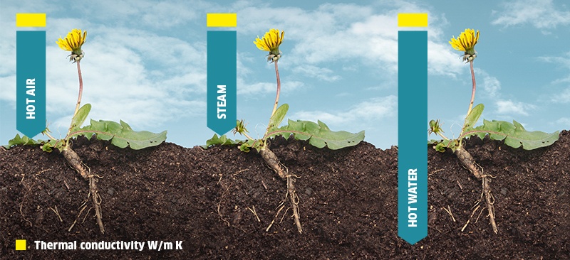 Weed control information image en Weed control information image en