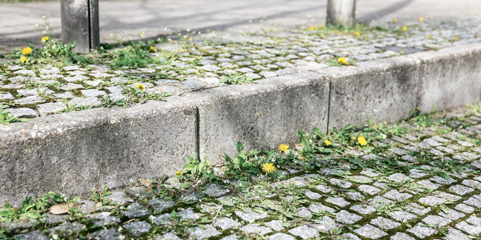 Ekologicky proti plevelu Kärcher Ekologicky proti plevelu Kärcher