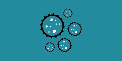 bacteria bacteria