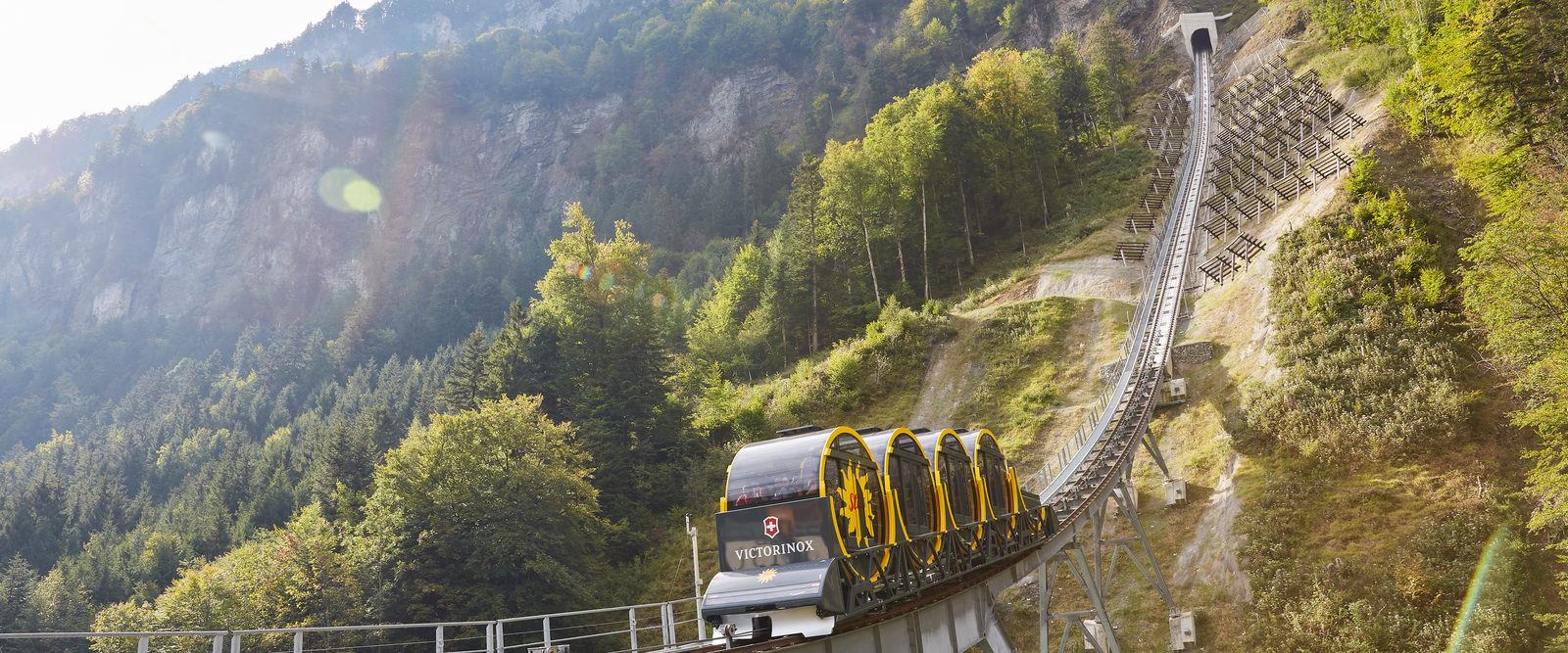 It climbs steeply 它急剧攀升!