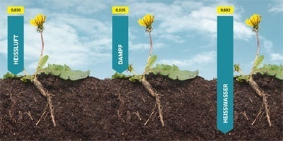 weed control weed control