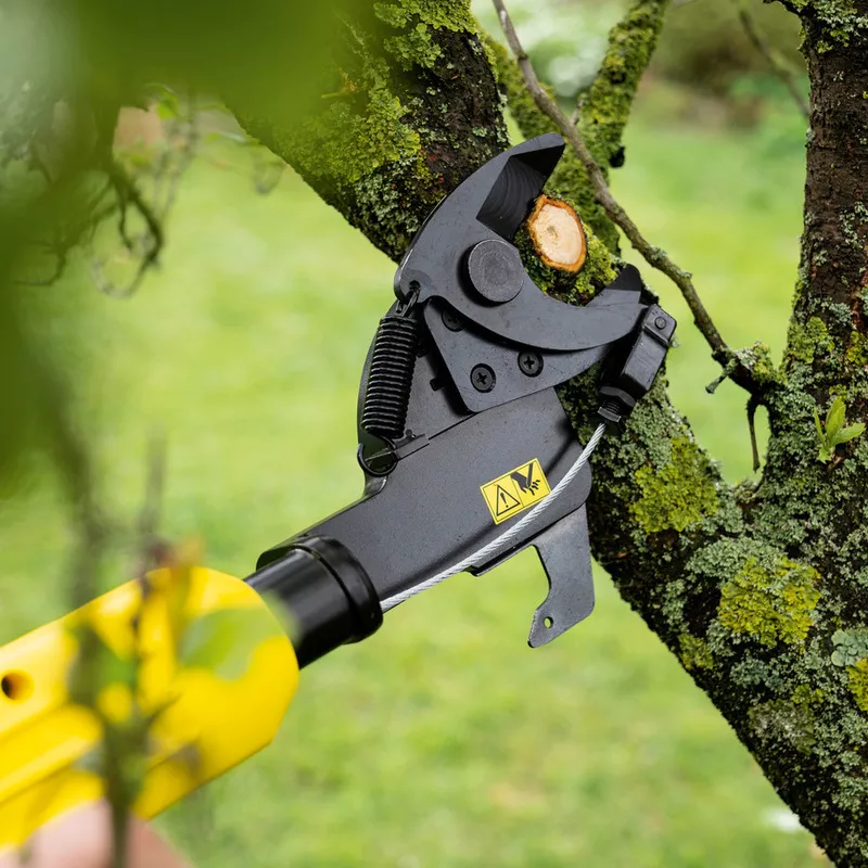 Coöperatie Schatting B.C. Battery tree lopper and pruning saw | Kärcher