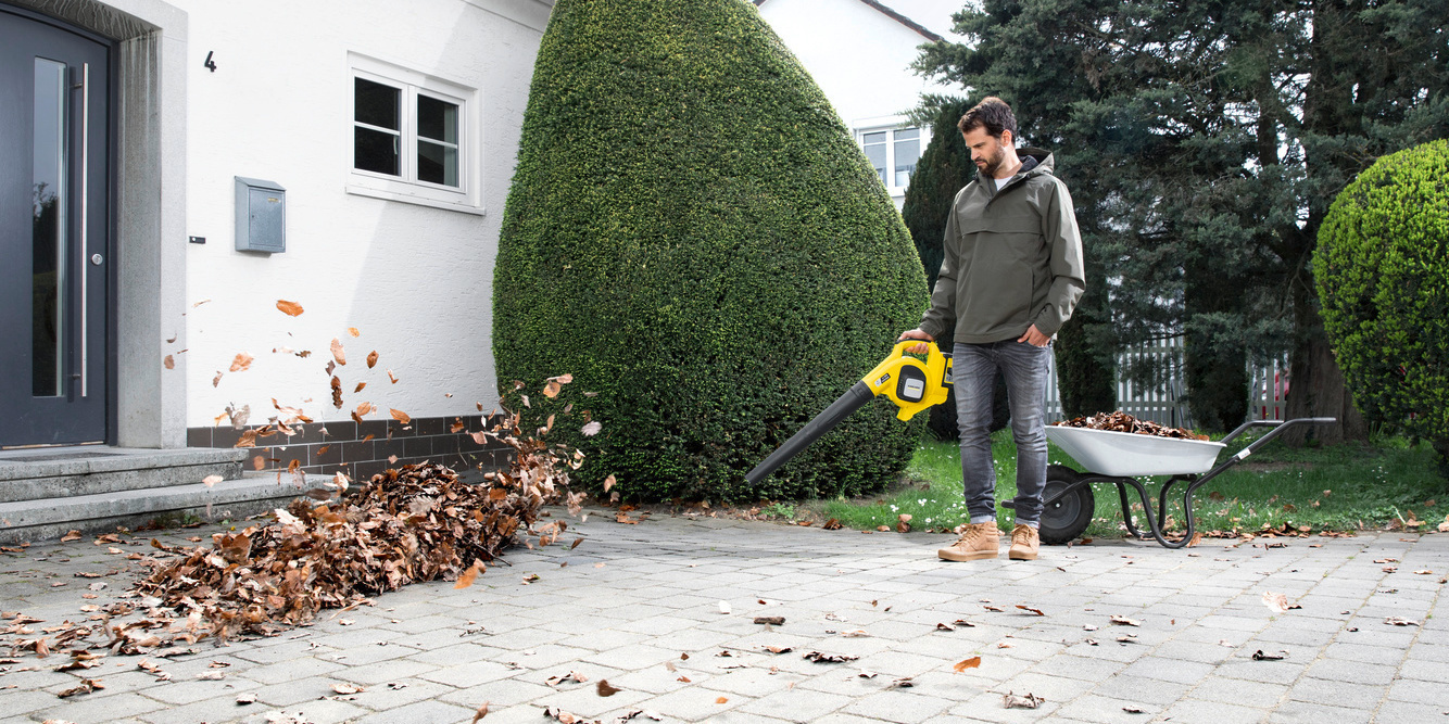 Élimination des feuilles mortes: cinq conseils pour l'automne Élimination des feuilles mortes: cinq conseils pour l'automne