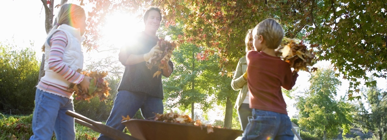 A la veille de l'hiver: faire le ménage dans la maison et dans le jardin A la veille de l'hiver: faire le ménage dans la maison et dans le jardin
