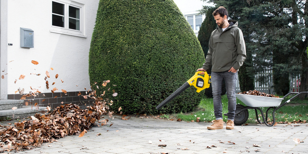 5 conseils pour une élimination des feuilles mortes 5 conseils pour une élimination des feuilles mortes