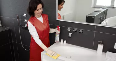 Sanitary cleaner