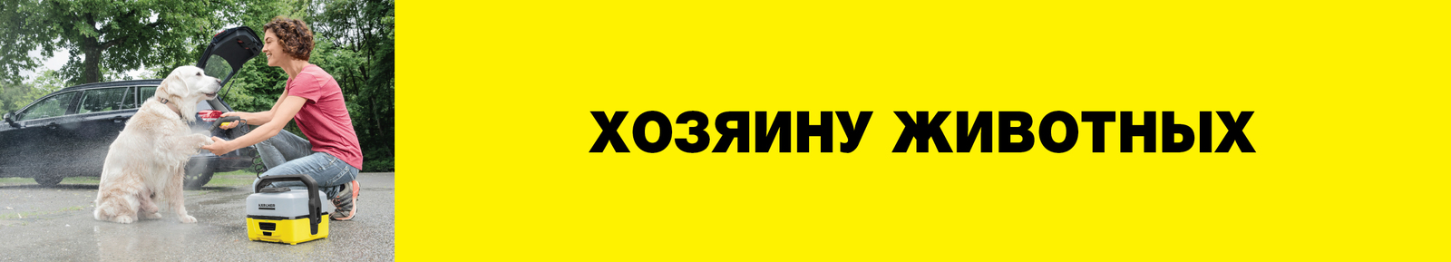 хозяину домашних животных хозяину домашних животных