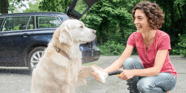 OC 3 Dog application OC 3 Dog application