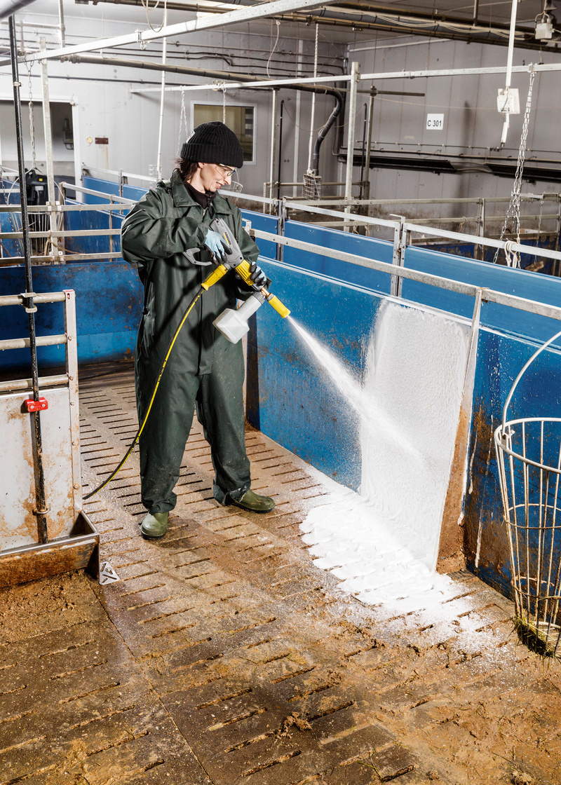 Rengjøring av grisefjøs