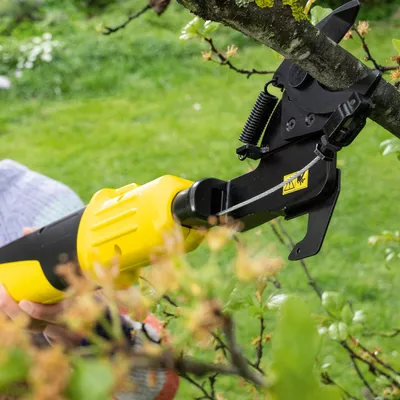 Tegenstander raket Stout Battery tree lopper and pruning saw | Kärcher
