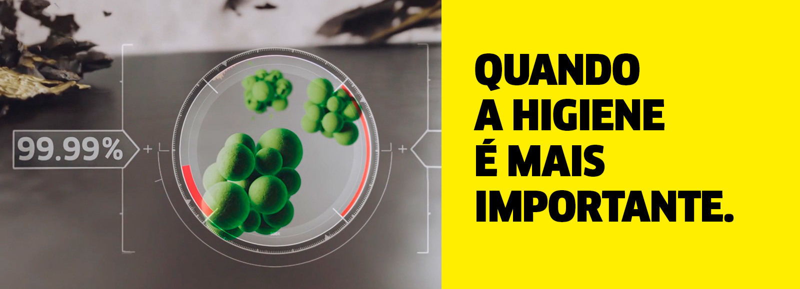 Quando a higiene é mais importante Quando a higiene é mais importante