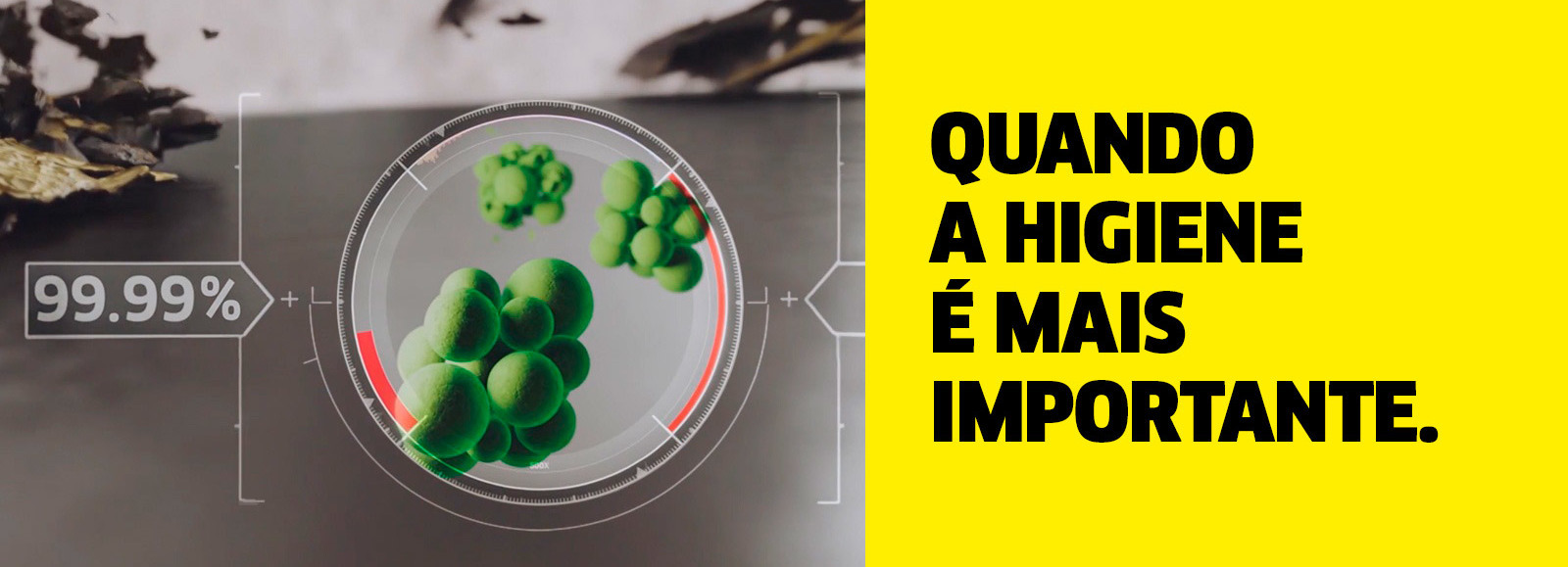 Quando a higiene é mais importante