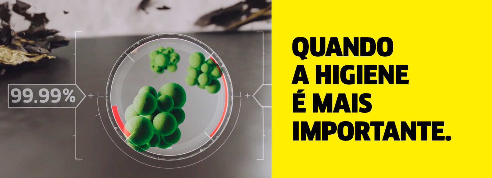 Quando a higiene é mais importante Quando a higiene é mais importante