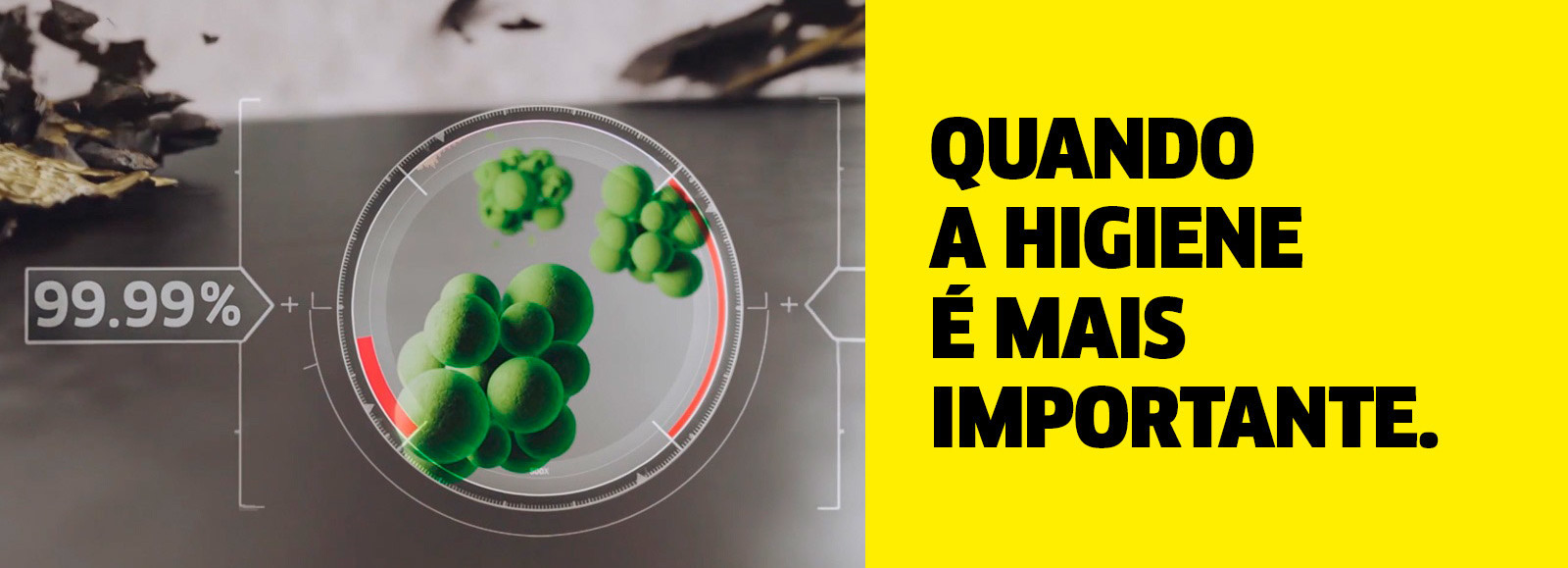 Quando a higiene é mais importante Quando a higiene é mais importante