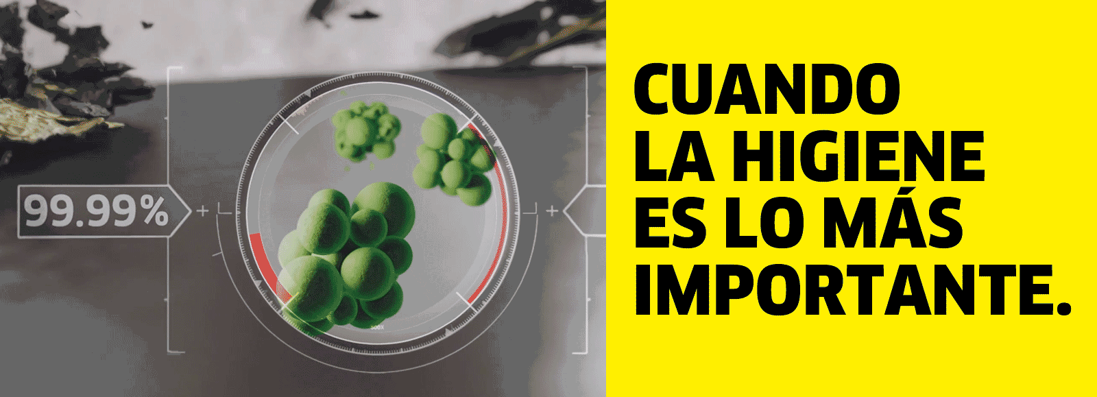 cuando la limpieza es lo mas importante