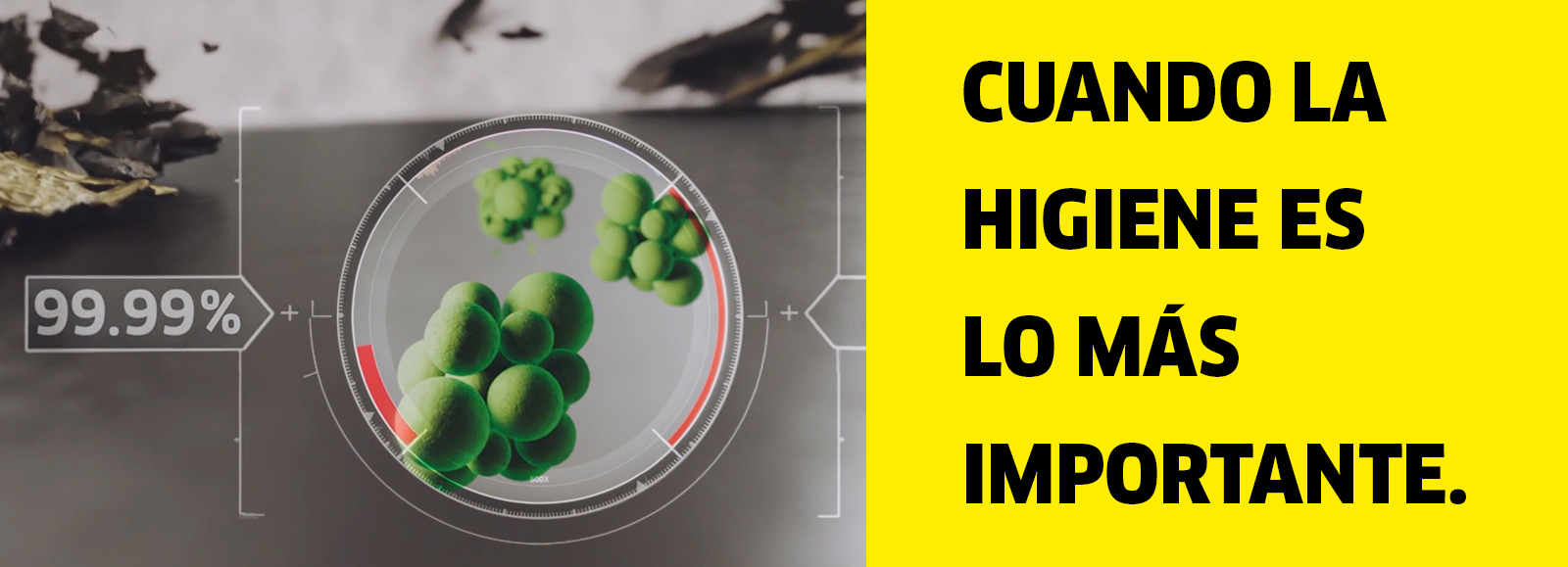 Cuando la higiene