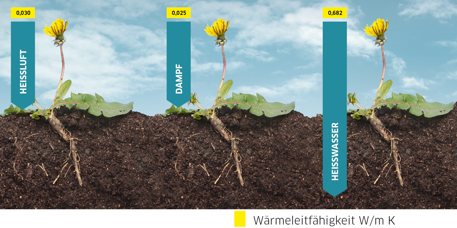 Illustration Weed Control Illustration Weed Control