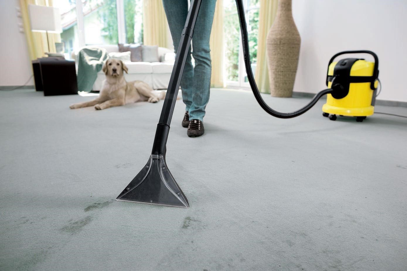 how to remove stains from carpet how to remove stains from carpet