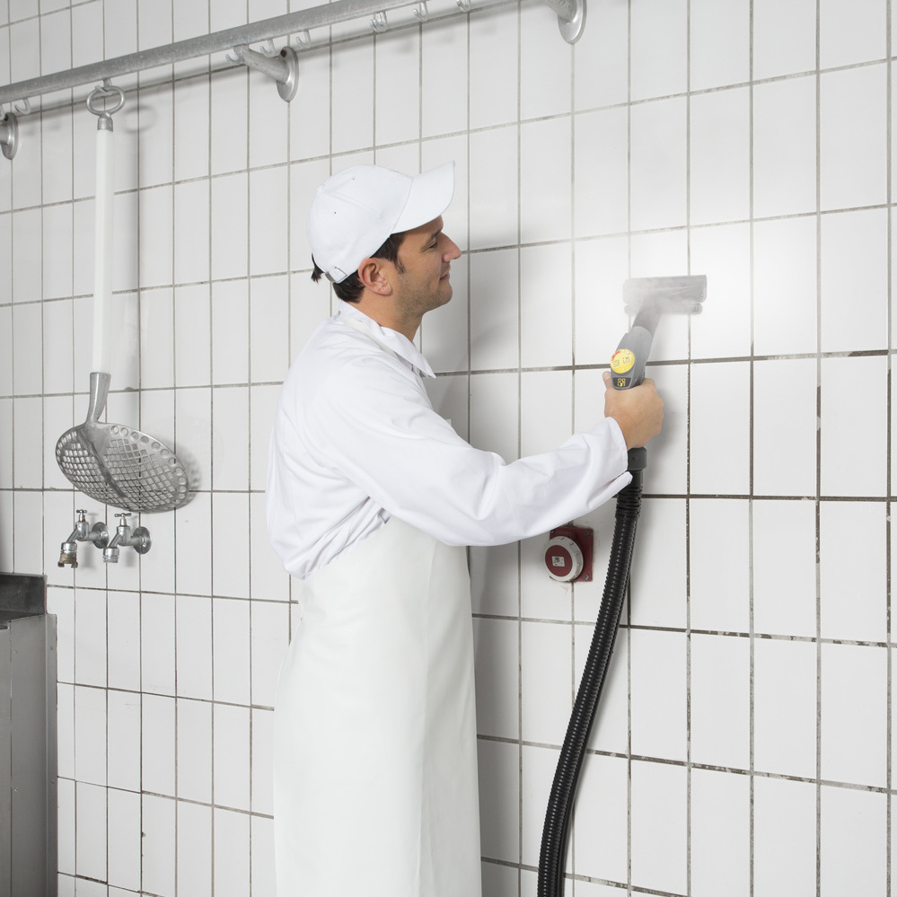 Ind Alimentaria Vapor