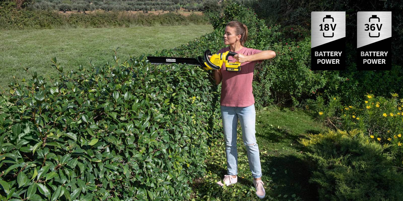 Taille-haies sans fil