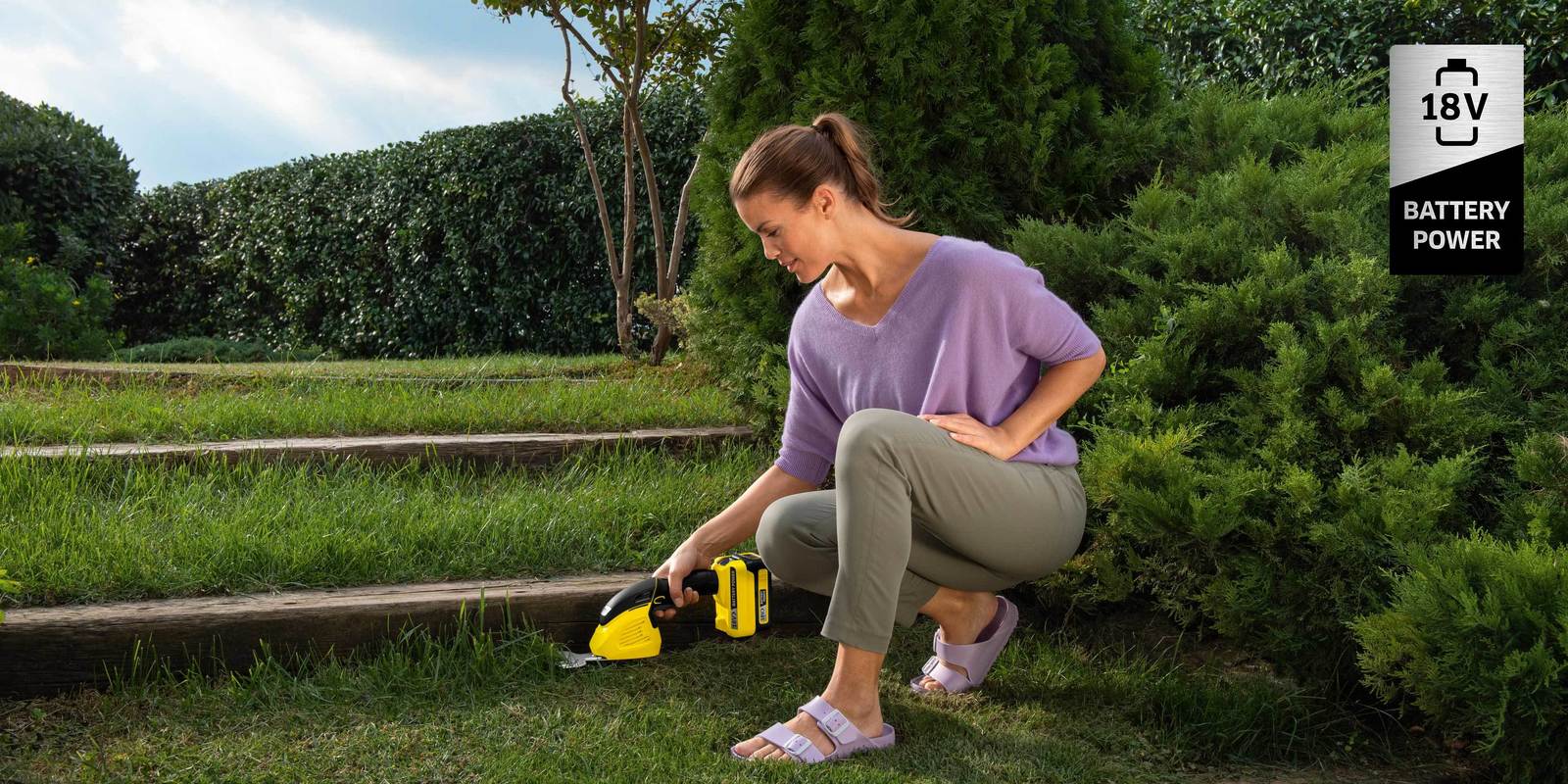 Cisaille à gazon et à arbustes à batterie