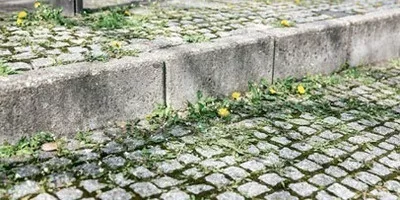 温水除草による除草作業前