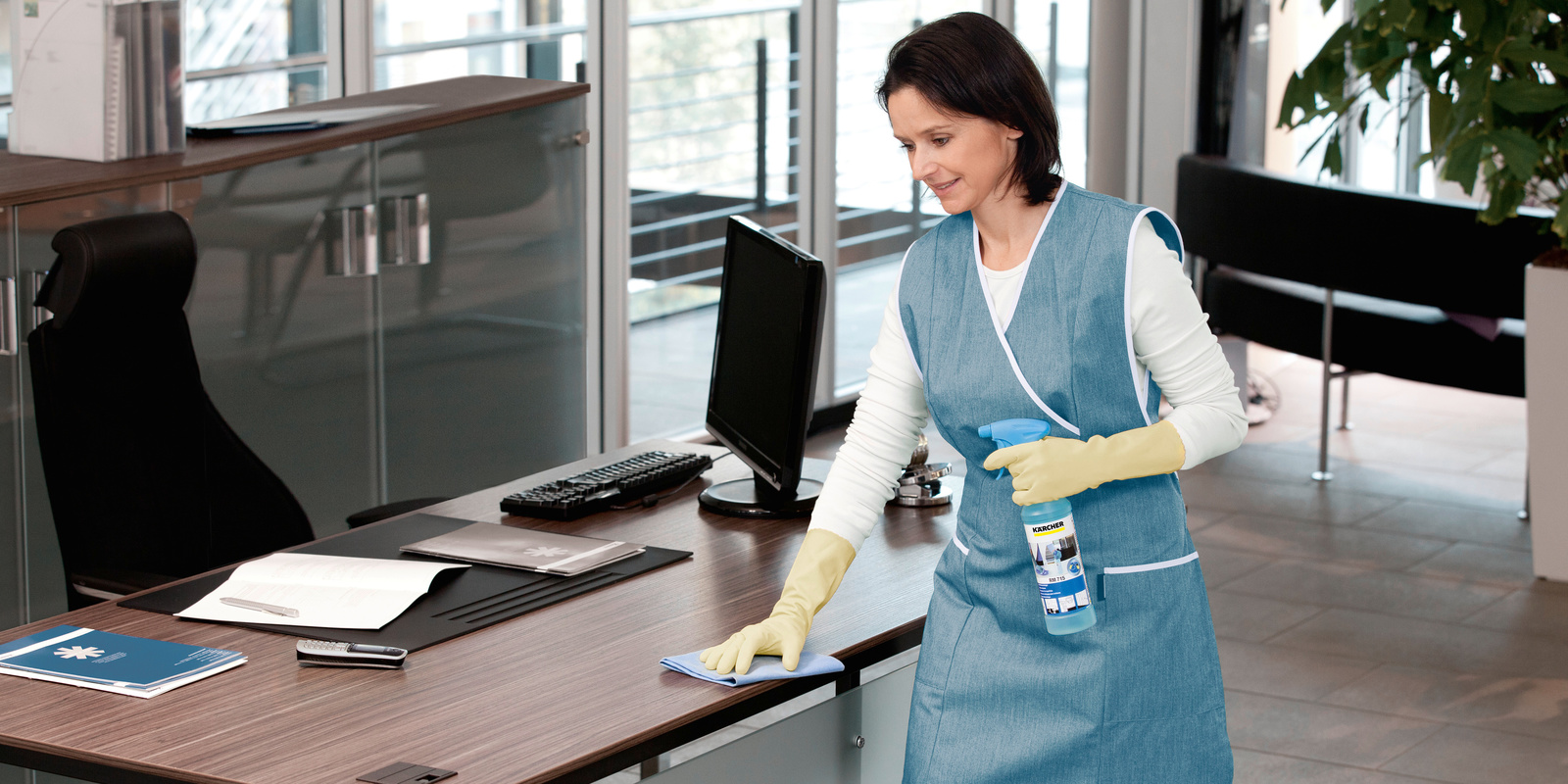 Kaercher_eco!perform_app1