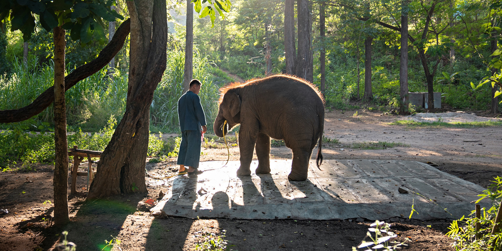 Kärcher Themenwelten