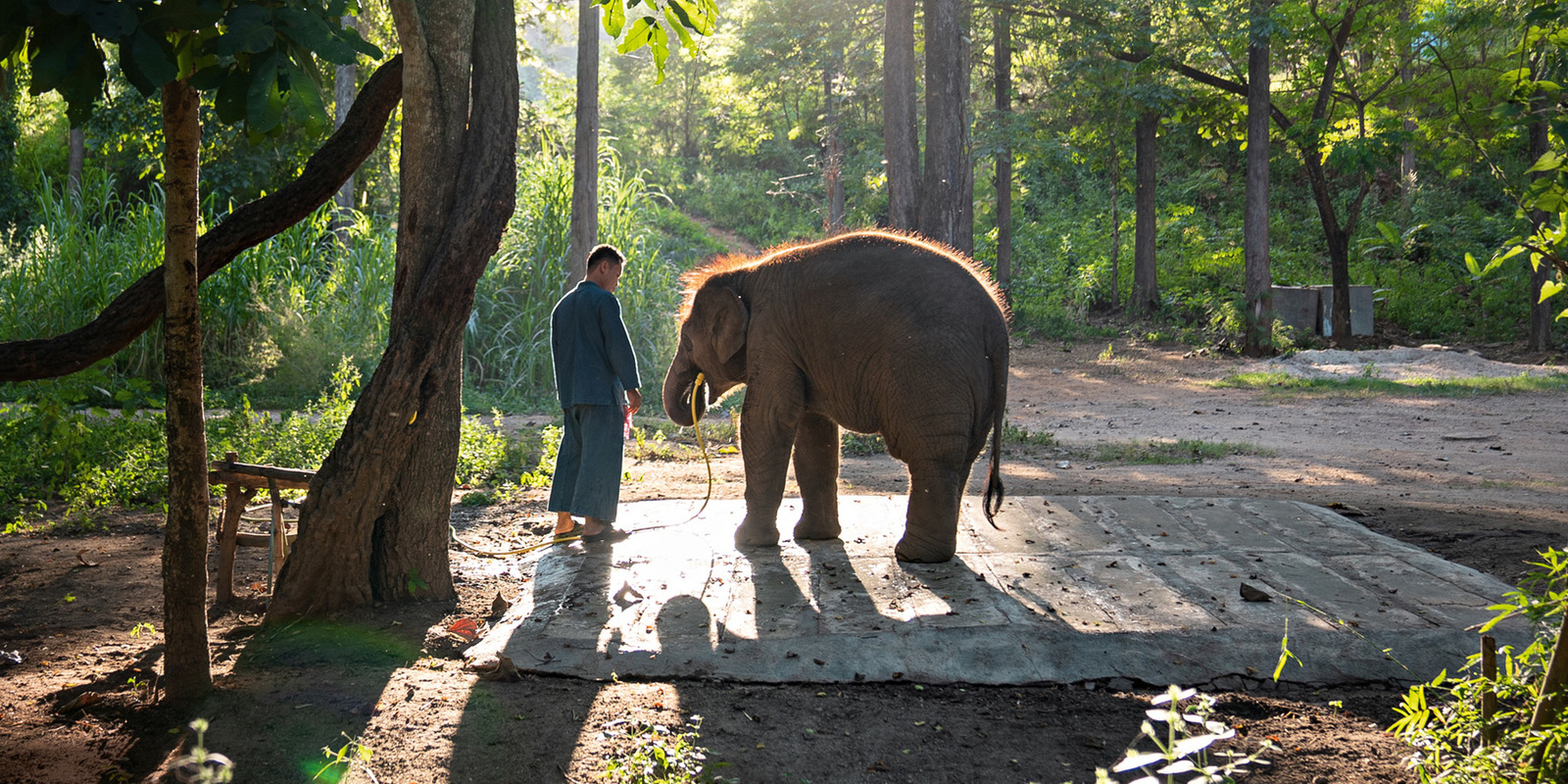 Les univers thématiques Kärcher
