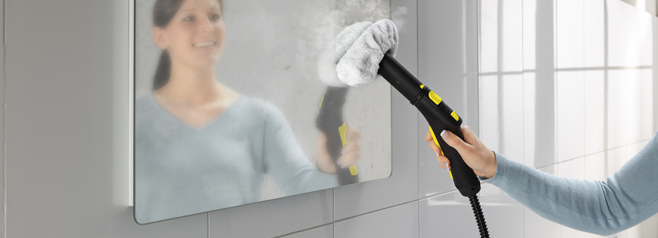 Qual a melhor solução de limpeza para se livrar de vírus e bactérias? Qual a melhor solução de limpeza para se livrar de vírus e bactérias?