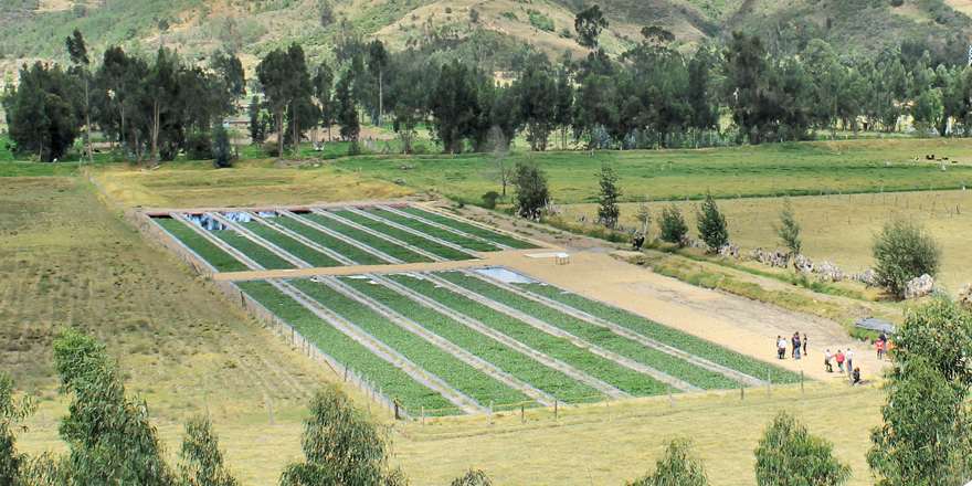 Green filter system Green filter system