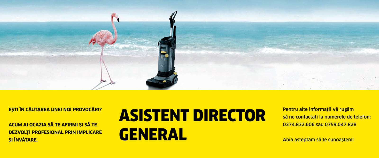 Asistent Director General Asistent Director General