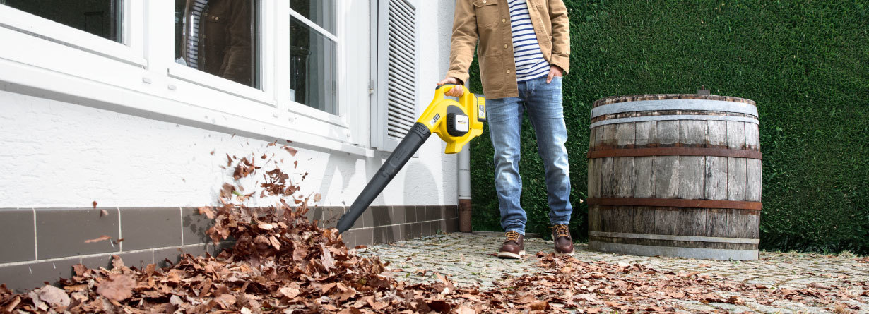 leaf blower leaf blower