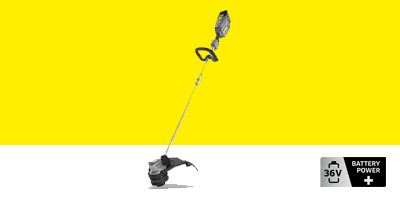 d d