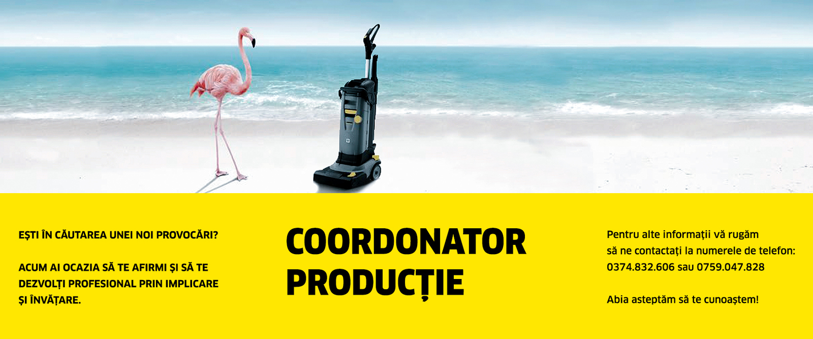 coordonator productie coordonator productie